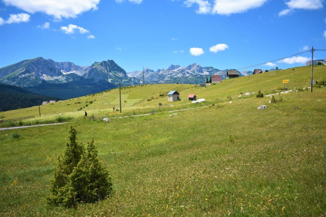 Durmitor View Villa Zabljak  Ngoại thất bức ảnh